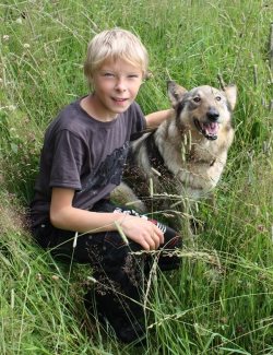 Яйлю. Прогулки с РикФордом или «заповедный гармонизатор пространства».