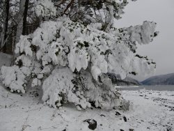 Зимние причуды Телецкого озера