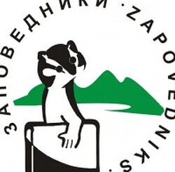 Приглашаем к участию в вебинаре «Бизнес-планирование. Семинар для местных активистов ТОС»