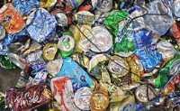 Штрафы за мусор в Горном Алтае могут возрасти в 5-10 раз