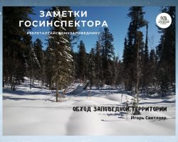 Заметки госинспектора. Обход заповедной территории