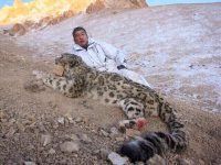 Минприроды России обратилось в правоохранительные органы с требованием проверить возможную причастность российского бизнесмена Павла Тё к незаконной охоте на снежного барса и добиться начала международного расследования этого преступления.