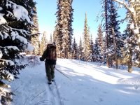 Заметки госинспектора. Учёты