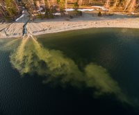 Подводный мир заповедного озера. Пробуждение реки