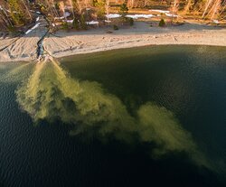 Подводный мир заповедного озера. Пробуждение реки
