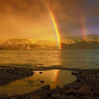 Стартовал Международный фотоконкурс «Живая природа Алтая»