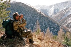 Сергей Спицын о снежном барсе, его изучении и сохранении