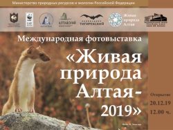 «Живая природа Алтая» вновь в залах  Национального музея Республики Алтай