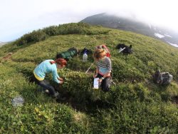 Сотрудники заповедников и национальных парков будут вести экологический мониторинг по единой программе