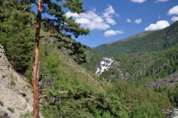 Благодарность от МВД по Республике Алтай