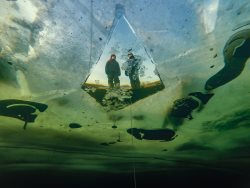 Февральское зазеркалье Телецкого озера