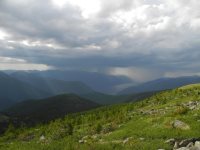 Жизнь в заповедных экспедициях. Экспедиционные впечатления от работы в Алтайском заповеднике