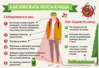 Как избежать укусов иксодовых клещей?!