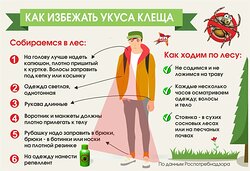 Как избежать укусов иксодовых клещей?!