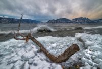 Летописцы Алтын-Кёля или чистый Дзэн зимнего Телецкого озера.