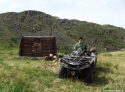 Мониторинговые наблюдения за гнездованием двух основных модельных видов Джулукульской котловины – большого баклана и орлана-белохвоста