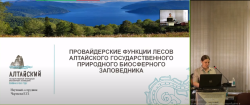 «Провайдерские функции лесов Алтайского заповедника» 