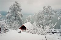 Заключительный в этом году научно-технический совет прошел Алтайском заповеднике