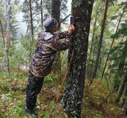 У заповедных солонцов Алтын-Кёля
