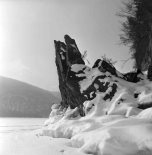Альфред Поздняков. Знакомство с заповедником. Воспоминания