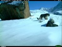 Дорогие защитники!