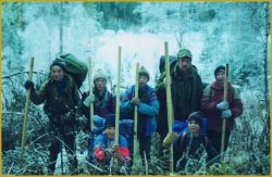 О работе с добровольцами в Алтайском заповеднике рассказали в Общественной палате РФ