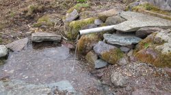 Наш «домашний» родник.