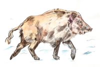 9 февраля в Республике Алтай встречают "Чага Байрам" - Новый год по лунному календарю