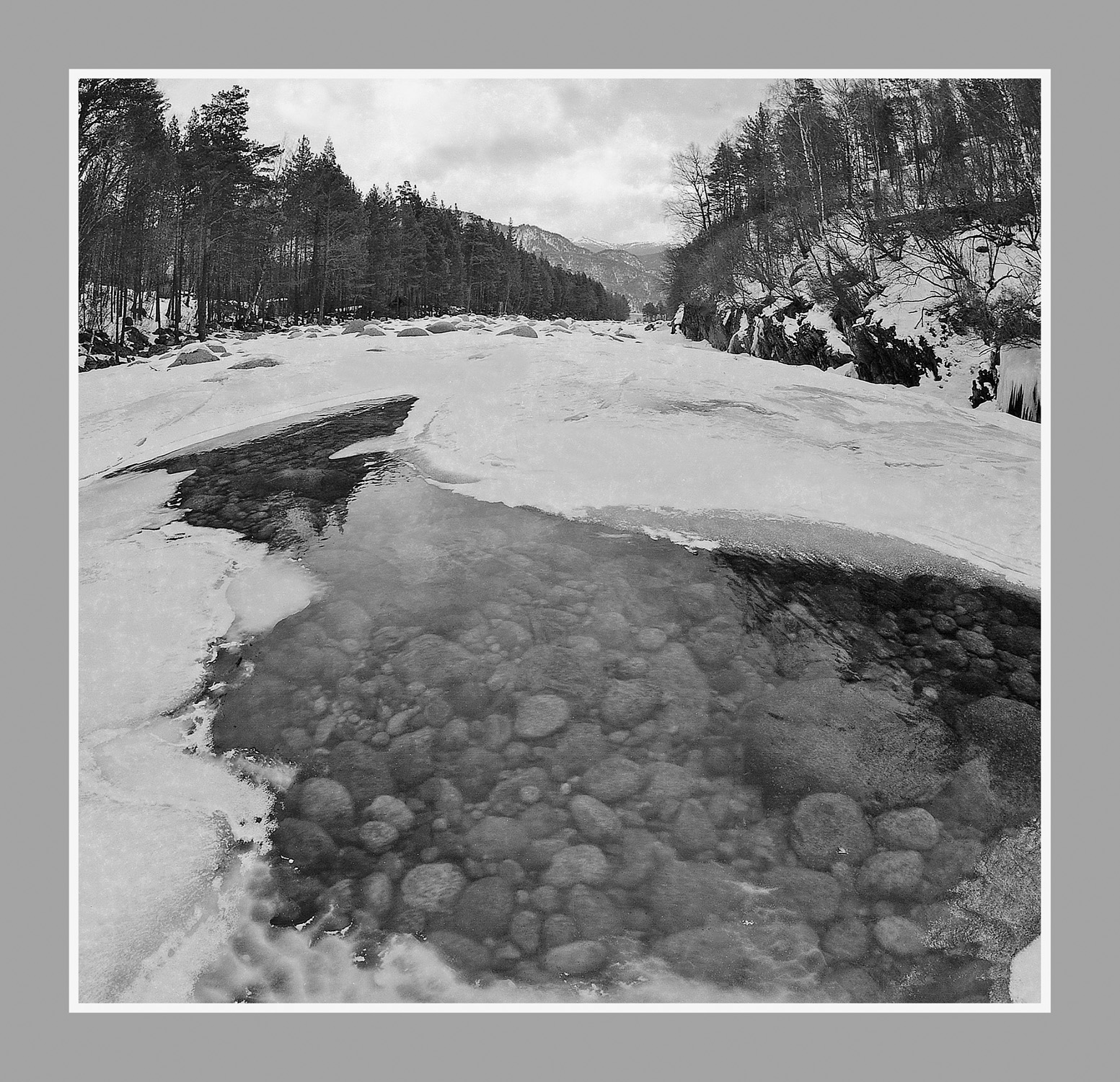 Александр Паничев. Образы минувшего. Алтайский дневник (Страницы истории Алтайского заповедника)