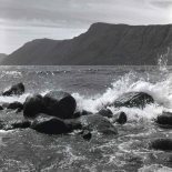 Верховка на Телецком озере