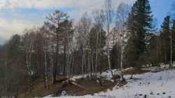 Декабрьские причуды.