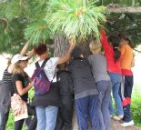 Телецкая школа - 2011