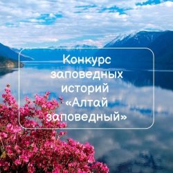 В день рождения заповедника объявляем конкурс!