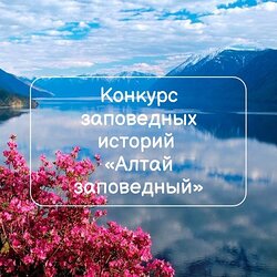 В день рождения заповедника объявляем конкурс!
