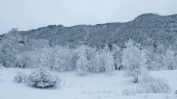 Зимние обходы.