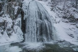 Мультимедийный фотопроект пополнился прогулкой по заснеженному Алтайскому заповеднику