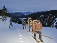 Заметки териолога. Зимний учет животных в местах концентрации копытных.