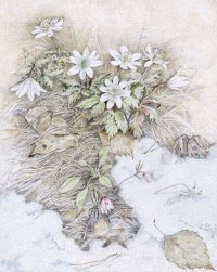 Традиции заповедного Алтая. ТУУЛАН АЙ. МАРТ