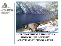 Териолог Алтайского заповедника выступил с докладом на международной конференции в Кирове.