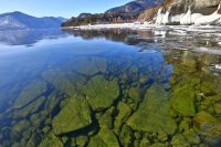 Телецкое озеро, медведи и снежный барс