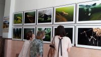 В национальной библиотеке Республики Алтай к Всемирному дню окружающей среды открыта фотовыставка 