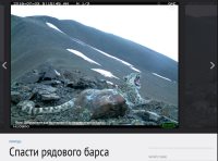 О добровольческой экспедиции "По следам снежного барса" - на сайте журнала National Geographic