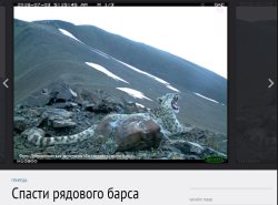 О добровольческой экспедиции "По следам снежного барса" - на сайте журнала National Geographic