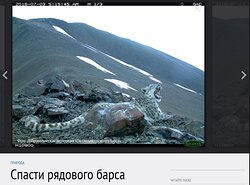О добровольческой экспедиции "По следам снежного барса" - на сайте журнала National Geographic