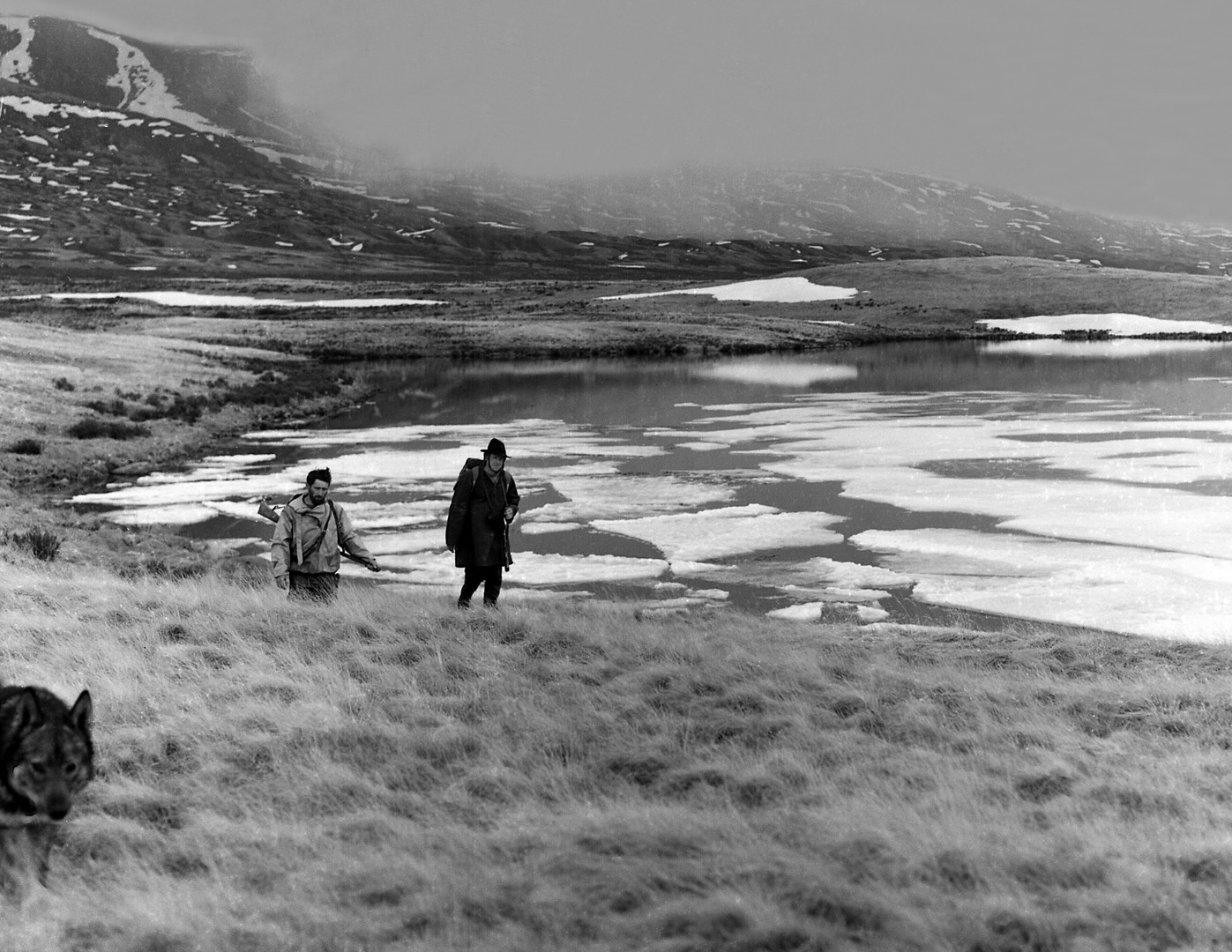 Рубрика напарник