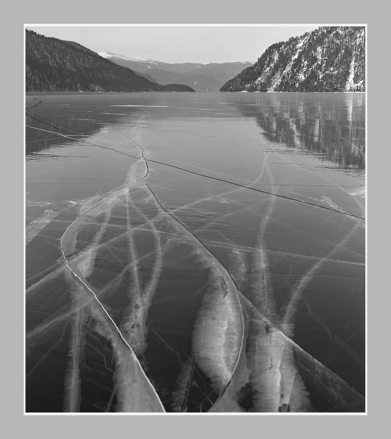 Александр Паничев. Образы минувшего. Алтайский дневник (Страницы истории Алтайского заповедника)