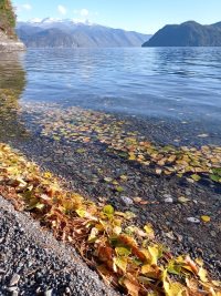 Октябрьские хроники  или будни Золотой осени на Золотом Озере 