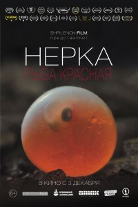 «Нерка. Рыба Красная»