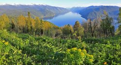 5 июня в мире отмечают Всемирный день охраны окружающей среды