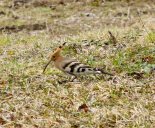 Фото М. Сахневич